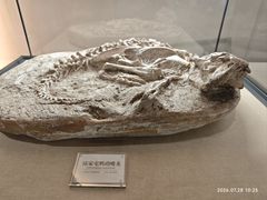 -辽宁古生物博物馆