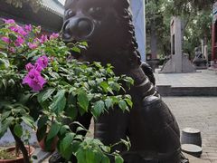 -关林