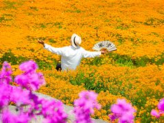 -江苏三台山国家森林公园