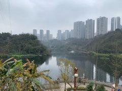 -重庆彩云湖湿地公园