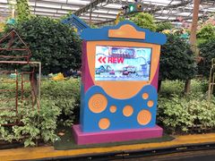 -南宫五洲植物乐园