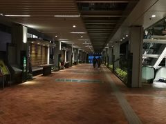 -香港大学