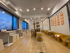 -有喵·猫咖·狗咖·30几只猫10只小狗(岗厦店)
