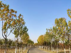 -天津东丽湖风景区