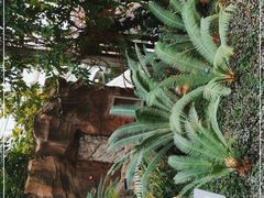 -北京植物园-展览温室