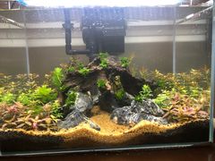 -三旗百汇商品城