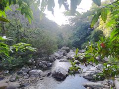 -海南热带雨林国家公园吊罗山景区
