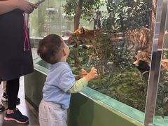 -国家自然博物馆