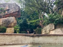 -海口观澜湖火山温泉谷