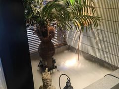 -涟LIAN·泰式按摩·MASSAGE·SPA(华强北店)