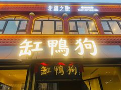 -缸鸭狗(天一广场店)