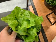 罗马奶油生菜-东椰·海南椰子鸡火锅(朝阳门店)