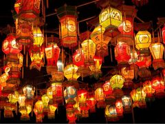 -锦江乐园舞狸花花游园会(夜场专享)