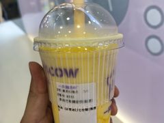 -一只酸奶牛(洪崖洞11楼店)