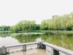 -望湖公园