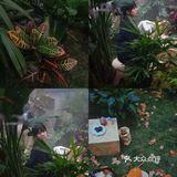 【自然的启示】西安首次植物空间设计展  