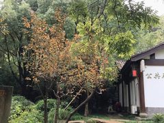 -杭州半山国家森林公园