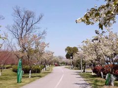 -尚贤河湿地