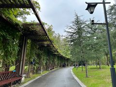 -狼山风景名胜区