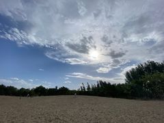 -东郊湿地公园