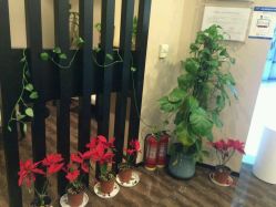 -史云逊养发中心