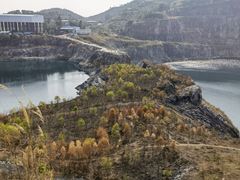 -黄埔油麻山森林公园