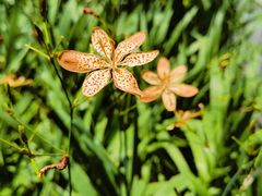 -草庵摩尼教遗址公园