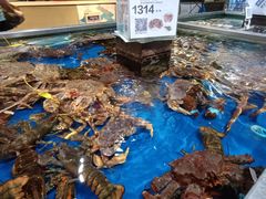 -盒马鲜生(红莲店)