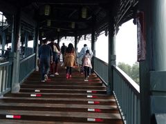 -眉山湿地公园(东坡区)