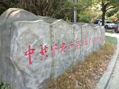 -缙云山景区