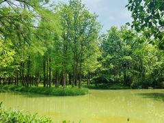 -西溪国家湿地公园