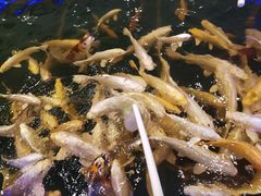 -凯德广场(武胜路店)