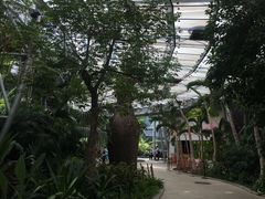 -北京植物园-展览温室