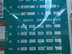 -奥体中心游泳馆