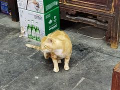 -吾介小籠館