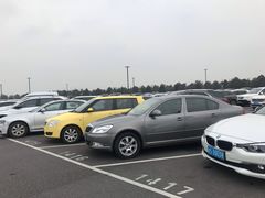 -迪士尼乐园停车场