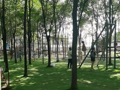 -草根堂农场