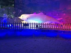 -世界之窗阿尔卑斯冰雪世界