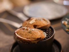 -Hi City·城市之巅