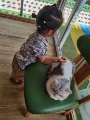 -萌宠亲子动物乐园(槐房万达店)