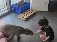 -FAIRYLAND龙族星球主题餐厅(凯丹广场店)