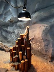 -Zoolung Zoolung动物主题公园(海信广场店)