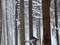 -四明山国家森林公园
