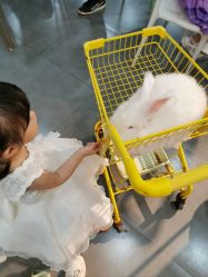 -Moni星球萌宠·小马宝莉·灵蛇·高端高阶全萌宠互动体验俱乐部(红豆国际广场店)