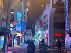 -秋叶原电器街