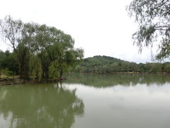 -天下玉苑