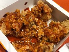 招牌酱炸鸡（半份）-前进5路汉堡炸鸡(汉街skp店)