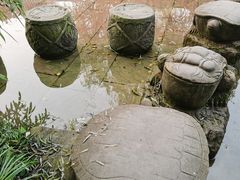 -黄龙溪古镇
