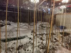 -江南天池高山汤泉城
