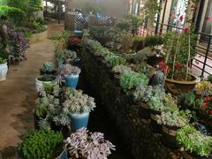-山菌美食苑(振兴路店)